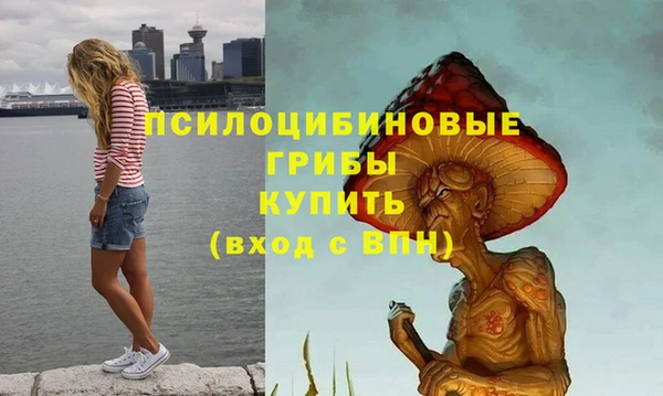 прущие крисы Протвино
