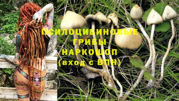 MDMA Premium VHQ Приозерск