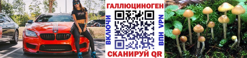 Галлюциногенные грибы мухоморы  хочу наркоту  Санкт-Петербург 