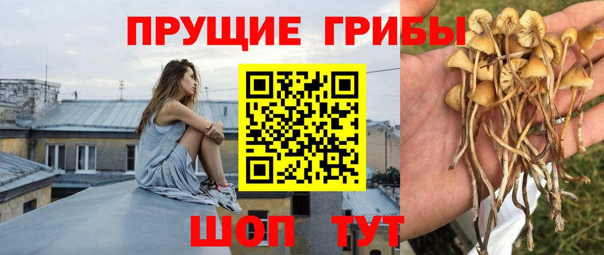 Галлюциногенные грибы ЛСД  Галлюциногенные грибы Magic Shrooms  Вход с VPN  Санкт-Петербург 