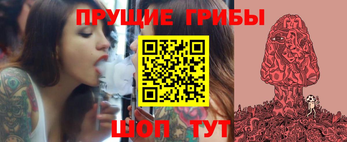 Псилоцибиновые грибы мицелий Санкт-Петербург